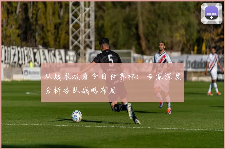 从战术板看今日世界杯：专家深度分析各队战略布局