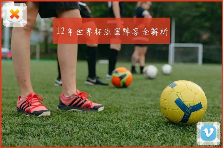 12年世界杯法国阵容全解析