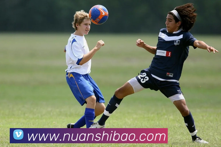 企业概况